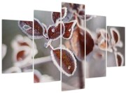 Kép - Levelek részlete (150x105 cm)