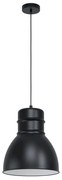 Eglo Ebury 43621 függeszték, 1x60W E27