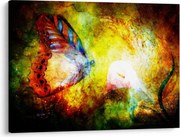 Kép - Kozmikus pillangó (70x50 cm)