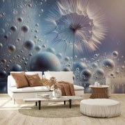 Fotótapéta - Ezüst pitypang (147x102 cm)