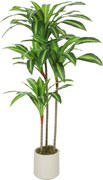 HOMCOM Dracaena műnövény állítható ágakkal, fehér PP és cement kaspó – PEVA levelek, fa törzs, 60 × 40 × 120 cm (24 × 16 × 47 hüvelyk) | Aosom