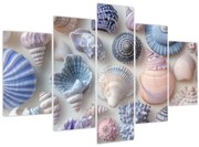 Kép - Kagylógyűjtemény (150x105 cm)