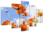 Pipacsok képe (150x105 cm)