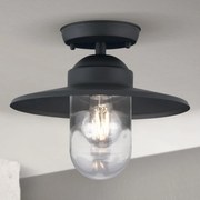 Orion AL 11-1317 - Kültéri felületre szerelt csillár EDWARD 1xE27/60W/230V IP44 antracit