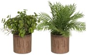 Műnövény szett 2 db-os (magasság 22 cm) – Casa Selección