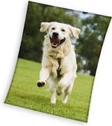 Kutyás Happytail Retriever coral fleece polár takaró 150x200cm
