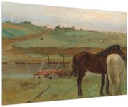 Kép - Edgar Degas, Horses in a Meadow, reprodukciók (90x60 cm)