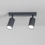 Brilagi - spotlámpa SELE 2xGU10/30W/230V antracit