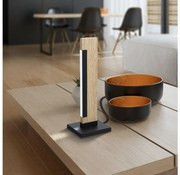 Eglo 99295 - Fényerőszabályozható CAMACHO asztali lámpa LED/6,5W/230V