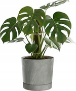 Kerek kaspó fedél beton sötét szürke ø19,9cm