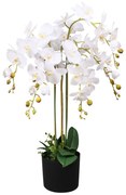cserepes fehér műorchidea 75 cm