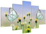 Pillangók eképe a virágon (150x105 cm)