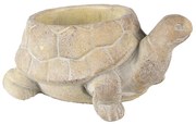 Virág ültető turtle Inside Bézs 22x16x10 cm