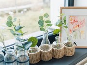 POSY 5 db-os váza készlet dekoratív művirággal