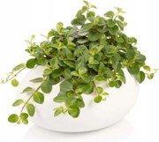 Fedő kis virágcseréphez, fehér, hossza 19 cm