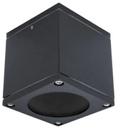 Palnas 66003511 - Kültéri fali lámpa TIMUR 1xGU10/10W/230V IP54