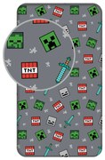 Minecraft We Got This gumis lepedő 90x200 cm