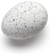 Tojásdísz, fehér színű - COOEE