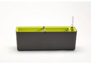 Plastia Berberis 60 önöntöző virágláda,  antracit + zöld, 60 cm