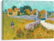 Kép - Vincent van Gogh, Farmhouse in Provence, reprodukciók (70x50 cm)
