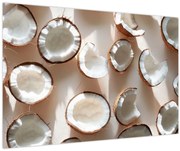 Kép - Kókuszdiók (90x60 cm)