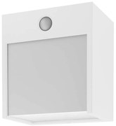 Rábalux Balimo 7479 mozgásérzékelős kültéri falilámpa, 12W LED, 4000K, 560 lm, IP54