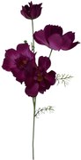 Bordó mű cosmos (pillangóvirág) 80cm
