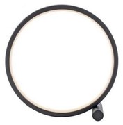 JUST LIGHT. 15395-18 - LED Asztali lámpa MINI RITUS LED/10,5W/230V fekete