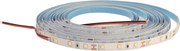 LED SZALAG DAISY 12V 60LED/M IP20 CW 30M 4W/M HIDEG FEHÉR