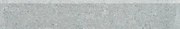 DSAS4661.1