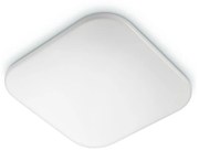 Philips - LED Mennyezeti lámpa MAUVE LED/24W/230V 4000K 8720169195516