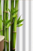 Zuhanyfüggöny - BAMBOO CANE - Impregnált textil - 180 x 200 cm