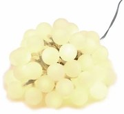 NEXOS Kültéri világítás 50 LED Meleg fehér 19 m