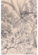 Mentazöld-bézs gyapjú szőnyeg 200x300 cm V&amp;A Calisia Kelp – Agnella