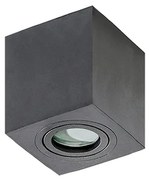 Brant mennyezeti spotlámpa