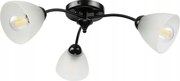 Lampa sufitowa Arco 3-punktowa czarna E27 transparentne klosze
