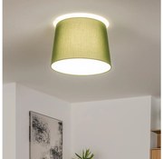 Brilagi - LED felületre szerelhető csillár CERIA 1xE27/40W/230V átmérő 30 cm zöld
