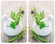 2db univerzális készlet Herb Garden tűzhelyhez, Weko, üveg / hőre lágyuló, 30 x 52 cm, többszínű