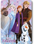 Disney Jégvarázs Winter Friends polár takaró 100x140cm