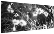 Kép - Pókháló a réten (120x50 cm)