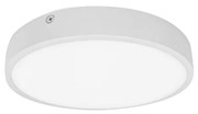 Palnas 61003580 - LED Fürdőszobai mennyezeti lámpa EGON LED/30W/230V IP44 3000K