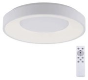 Leuchten Direkt 14326-16 - LED fényerő-szabályzó ANIKA LED/30W/230V + RC