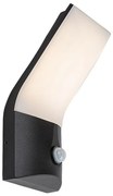 Rabalux 77172-LED TOLNA kültéri fali lámpa szenzorral LED/10W/230V IP54
