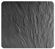 WENKO 2712984500 - ABDECKPLATTE fedőlap - NEUTRAL 56x50 cm fekete/átlátszó