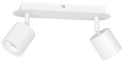 Spotlámpa DEMIA 2xGU10/8W/230V fehér