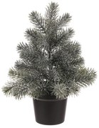 Dekoratív fenyőcserepes, 50 cm, zöld, nekem fagyos, 50 cm