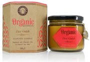 Desi Gulab - Rose 200 g organikus gyertyaborostyánszínű üvegben