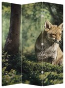 Paraván - Róka (126x170 cm)