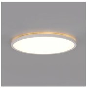 NIVERA LED 32W 230V IP54 fürdőszobai mennyezeti lámpa, 42 cm, fehér