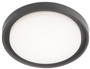 Redo 9184 - BEZEL kültéri mennyezeti lámpatest LED/30W/230V IP54 antracit